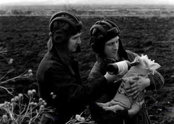 First Russian Pig in Space